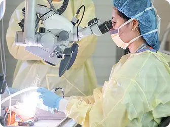 Faculty Demonstration at Ear Workshop