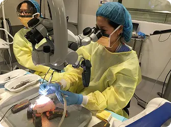 Teaching Temporal Bone Course, SGH, July 2017