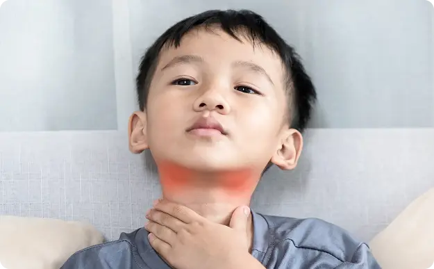 Throat and Voice